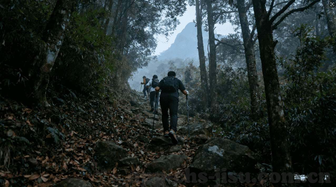 乐鱼体育在线平台下载-乐鱼体育，解读在线平台优势，助力便捷娱乐升级